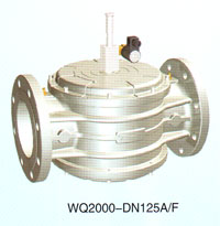 WQ2000-DN125