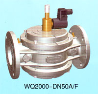 WQ2000-DN50A/F