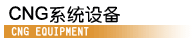 CNGϵͳ�豸