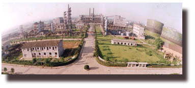 csgas.jpg (18801 字节)