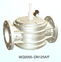 WQ2000-DN125