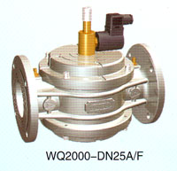 WQ2000-DN25A/Fҵŷ