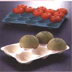 ˮ������