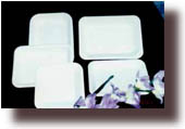 Rectangular Paper Plate