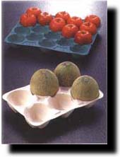 ˮ������