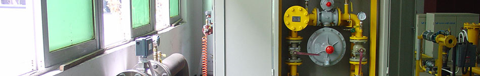 深圳市龙岗区燃气设备生产中心2012年成立